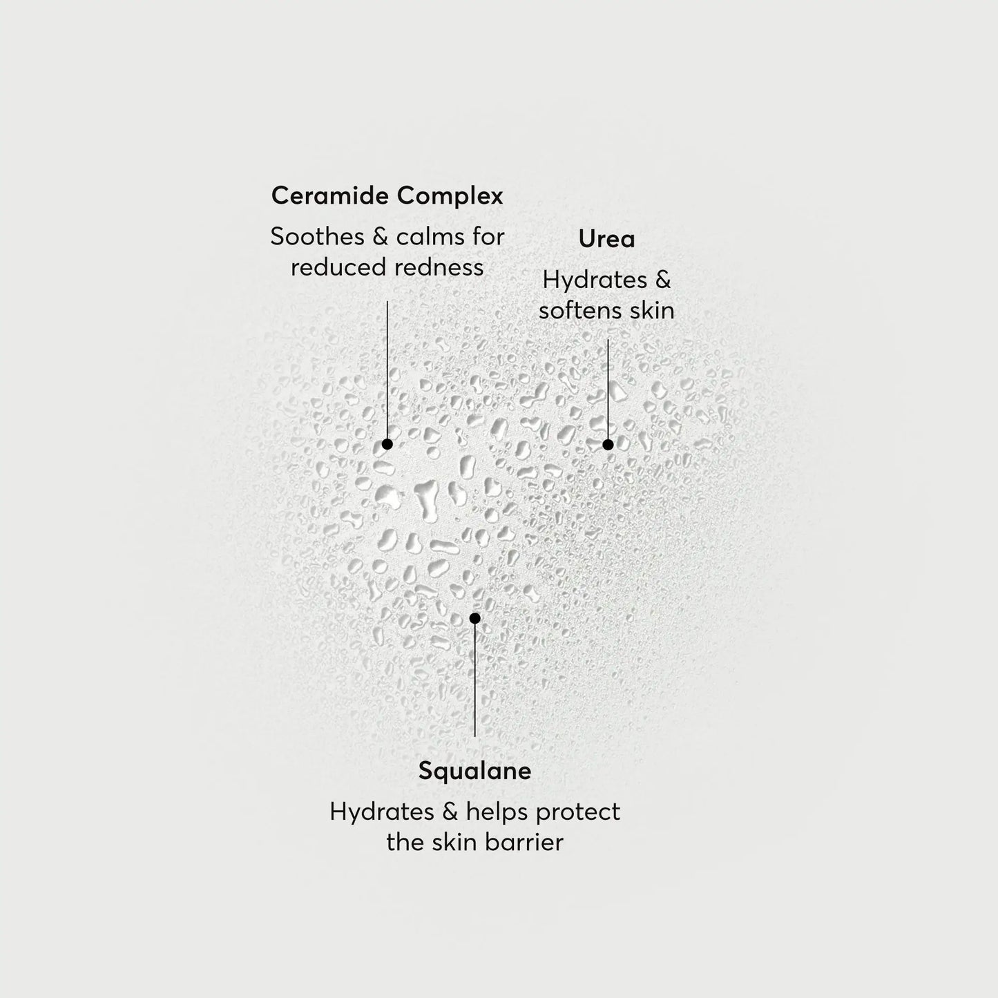 barrier-bounce-bi-phase-mist-h4 NATR-10167-Alt-Images-Barrier-Bounce-Bi-Phase-Toner-Mist_01.webp