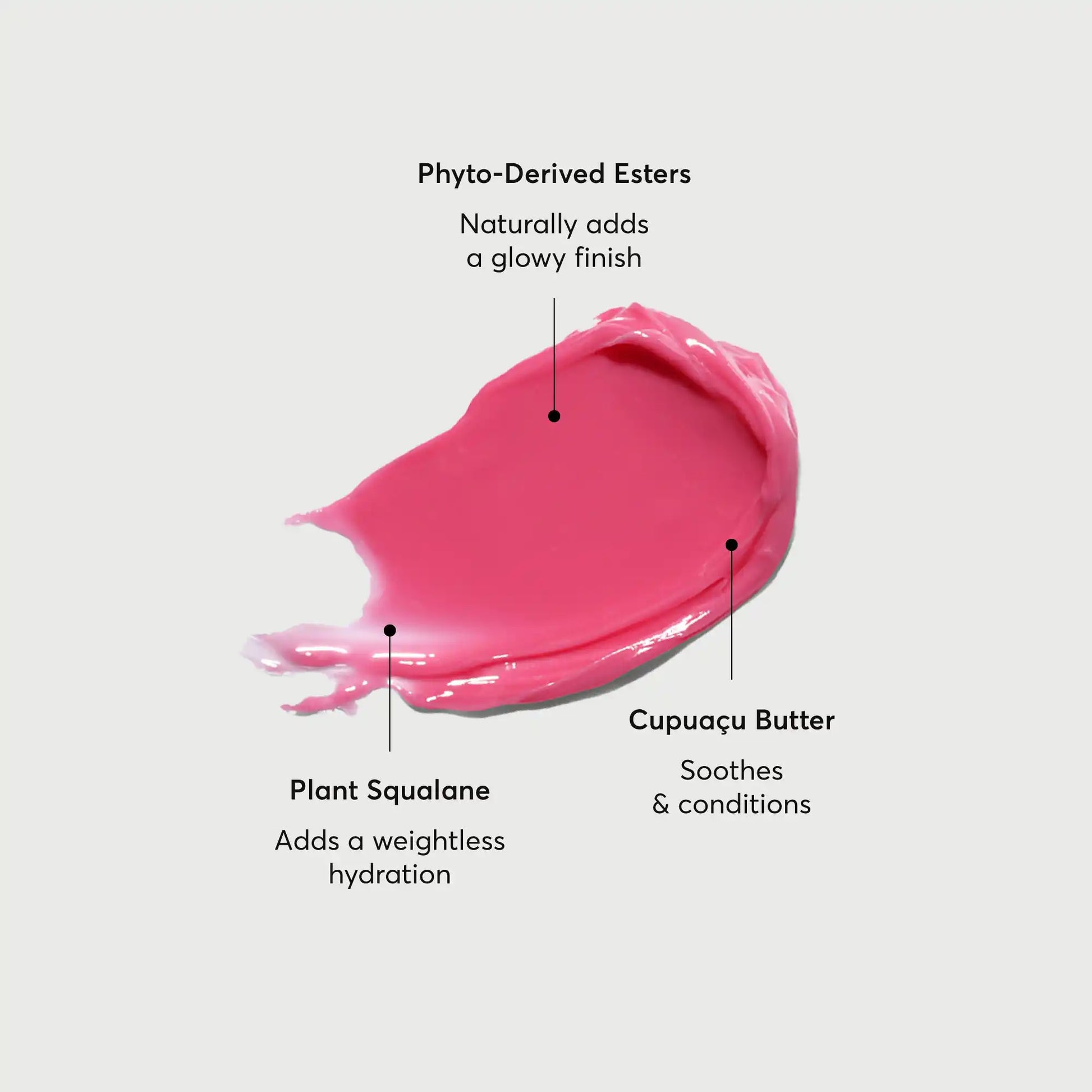 phyto-glow-lip-balm-camellia-m2 NATR-60075-Alt-Images-Phyto-Glow-Lip-Balm-Camellia-01.webp